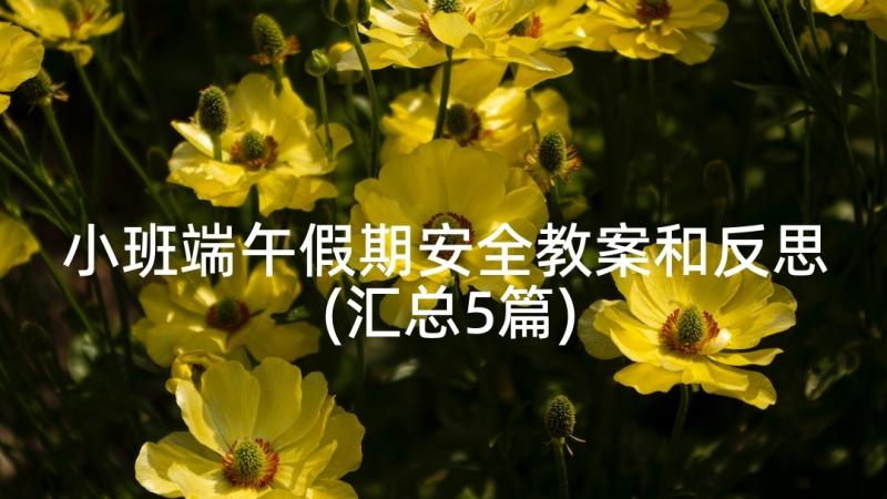 小班端午假期安全教案和反思(汇总5篇)