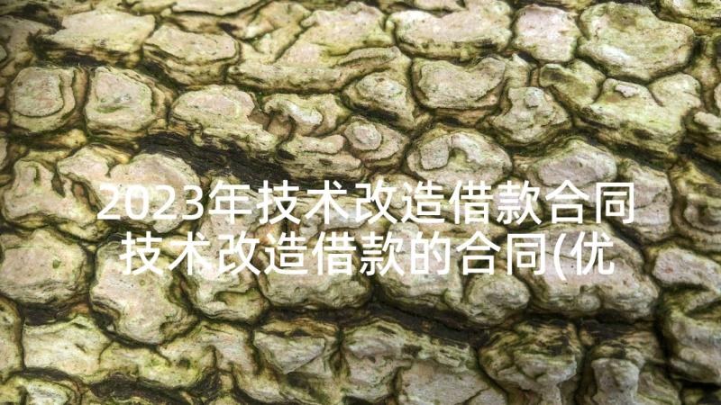 2023年技术改造借款合同 技术改造借款的合同(优秀5篇)