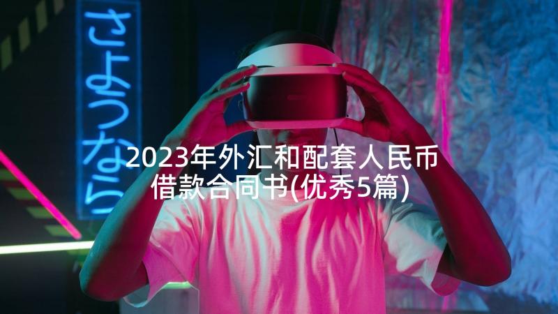 2023年外汇和配套人民币借款合同书(优秀5篇)