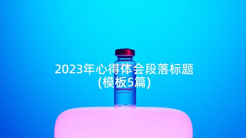 2023年心得体会段落标题(模板5篇)