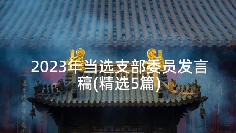 2023年当选支部委员发言稿(精选5篇)