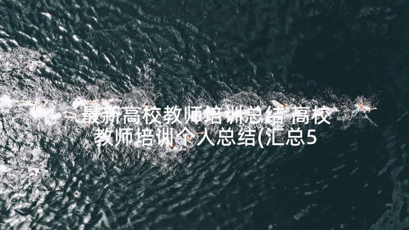 最新高校教师培训总结 高校教师培训个人总结(汇总5篇)