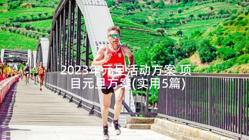 2023年元旦活动方案 项目元旦方案(实用5篇)