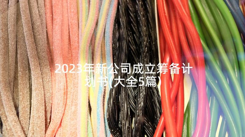 2023年新公司成立筹备计划书(大全5篇)