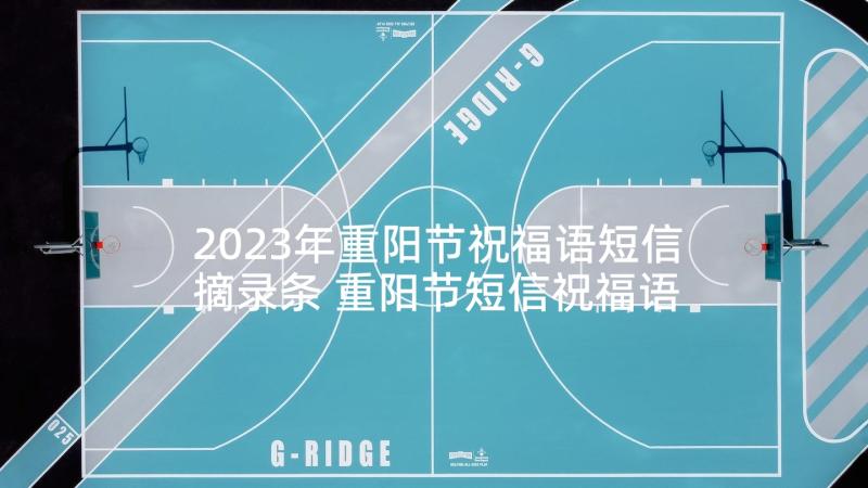 2023年重阳节祝福语短信摘录条 重阳节短信祝福语(优质5篇)