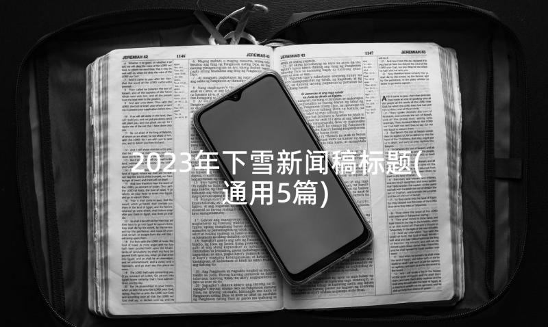 2023年下雪新闻稿标题(通用5篇)