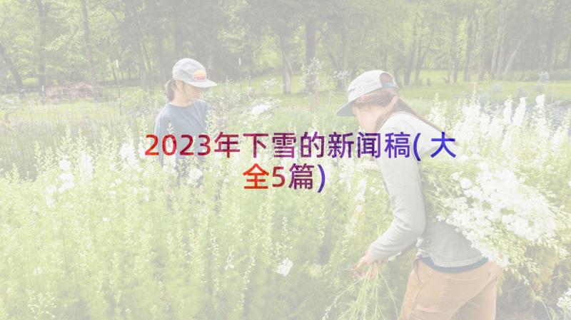 2023年下雪的新闻稿(大全5篇)