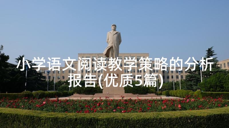 小学语文阅读教学策略的分析报告(优质5篇)