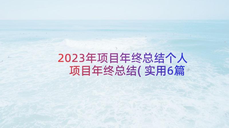 2023年项目年终总结个人 项目年终总结(实用6篇)