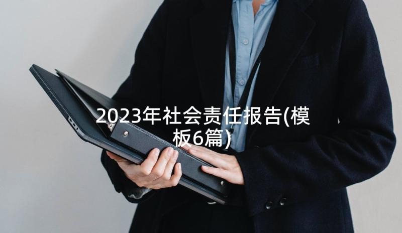 2023年社会责任报告(模板6篇)