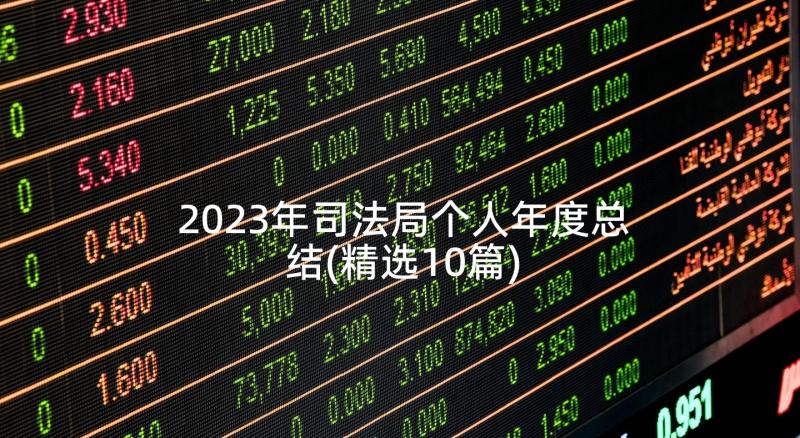 2023年司法局个人年度总结(精选10篇)