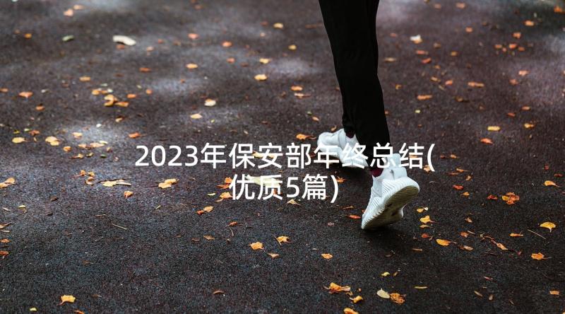 2023年保安部年终总结(优质5篇)