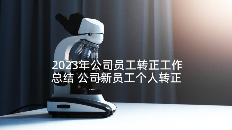 2023年公司员工转正工作总结 公司新员工个人转正工作总结(优秀7篇)