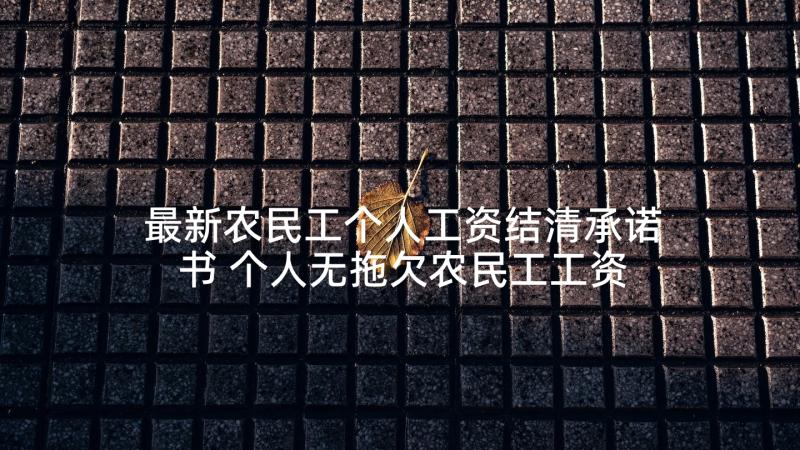 最新农民工个人工资结清承诺书 个人无拖欠农民工工资承诺书(大全5篇)