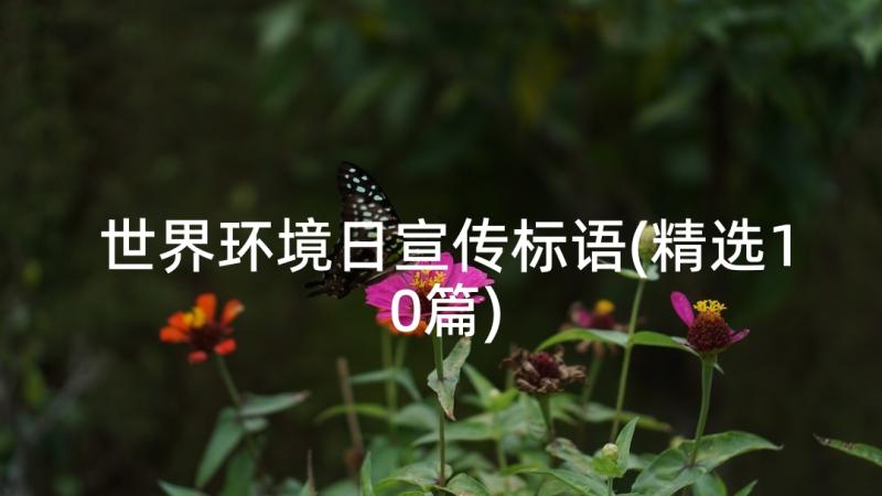 世界环境日宣传标语(精选10篇)