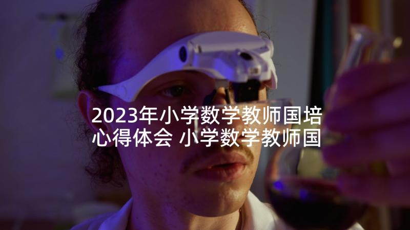 2023年小学数学教师国培心得体会 小学数学教师国培的心得体会(优秀6篇)