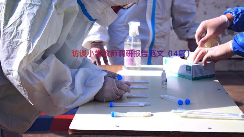 访谈小学教师调研报告范文（14篇）