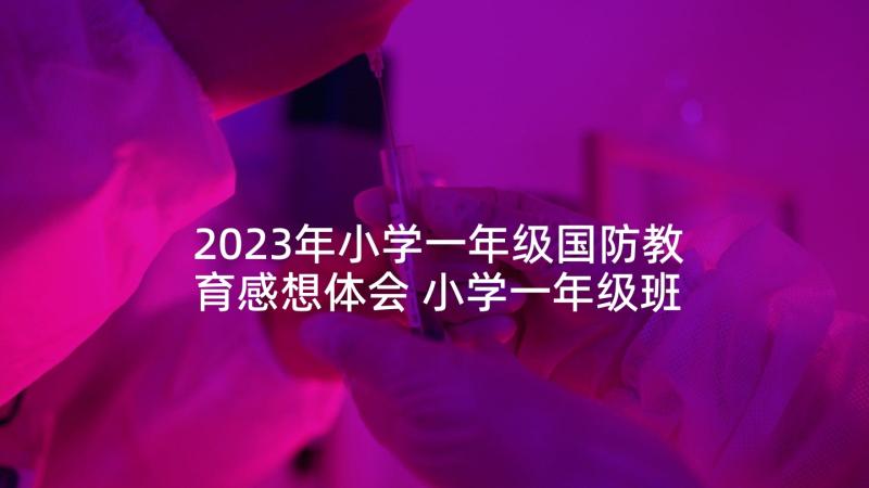 2023年小学一年级国防教育感想体会 小学一年级班主任心得感想(精选5篇)