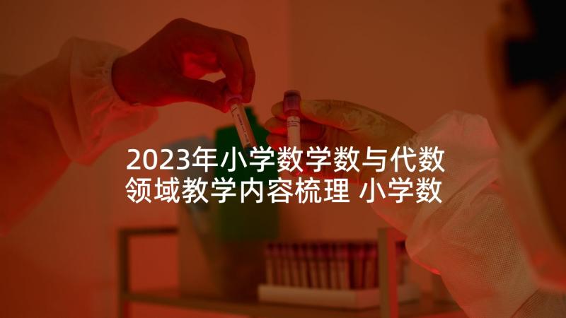 2023年小学数学数与代数领域教学内容梳理 小学数学培训心得体会(模板5篇)