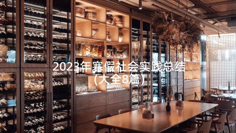 2023年寒假社会实践总结(大全8篇)