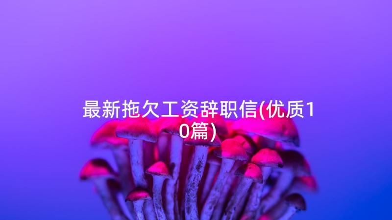 最新拖欠工资辞职信(优质10篇)