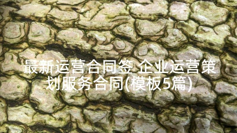 最新运营合同签 企业运营策划服务合同(模板5篇)