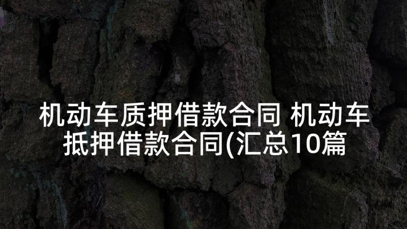 机动车质押借款合同 机动车抵押借款合同(汇总10篇)