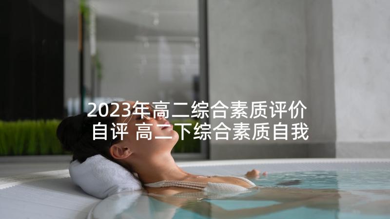 2023年高二综合素质评价自评 高二下综合素质自我评价(模板5篇)