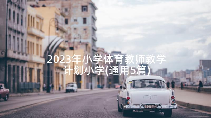 2023年小学体育教师教学计划小学(通用5篇)