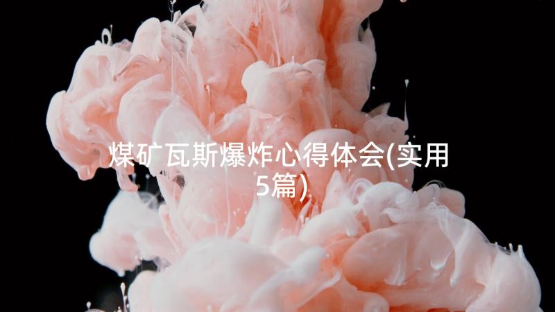 煤矿瓦斯爆炸心得体会(实用5篇)