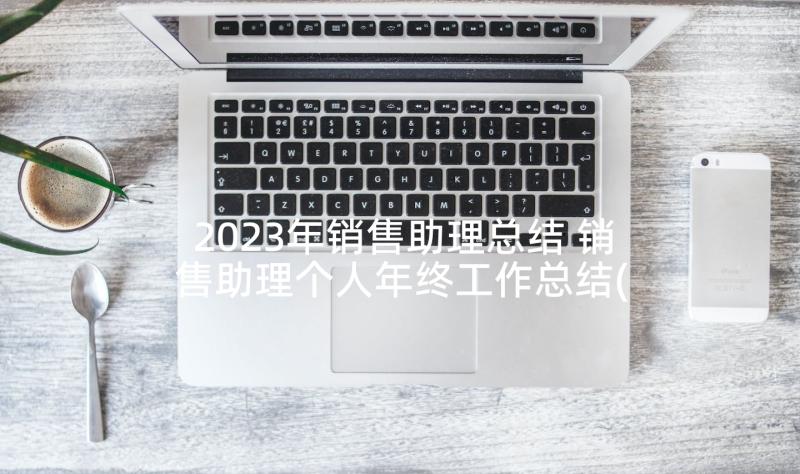 2023年销售助理总结 销售助理个人年终工作总结(模板5篇)