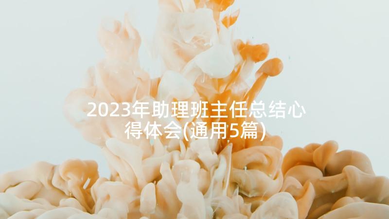 2023年助理班主任总结心得体会(通用5篇)