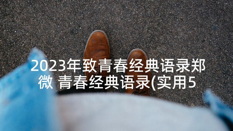 2023年致青春经典语录郑微 青春经典语录(实用5篇)