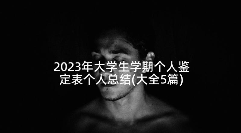 2023年大学生学期个人鉴定表个人总结(大全5篇)