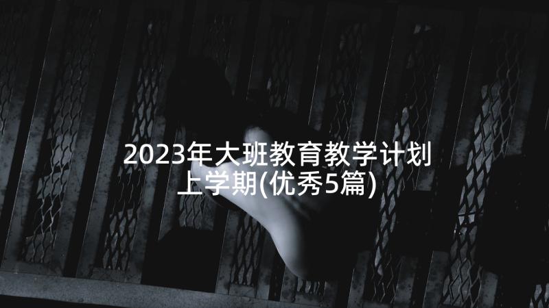 2023年大班教育教学计划上学期(优秀5篇)