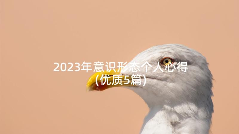 2023年意识形态个人心得(优质5篇)