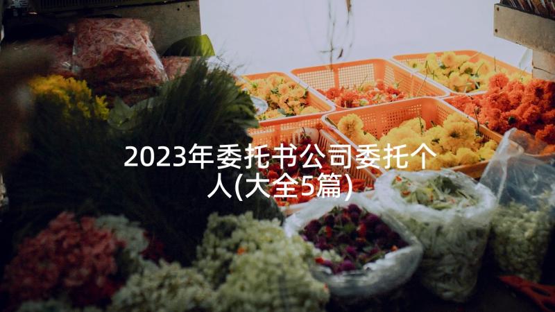 2023年委托书公司委托个人(大全5篇)