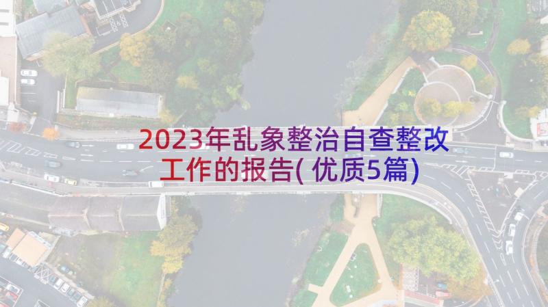 2023年乱象整治自查整改工作的报告(优质5篇)