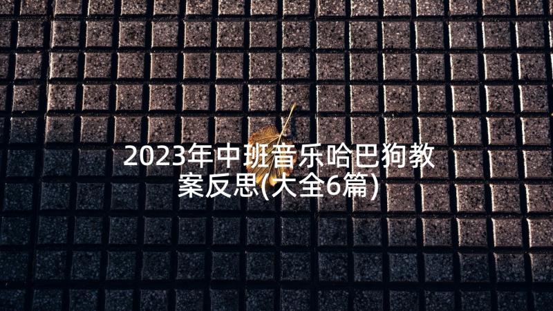 2023年中班音乐哈巴狗教案反思(大全6篇)