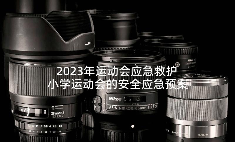 2023年运动会应急救护 小学运动会的安全应急预案(大全5篇)