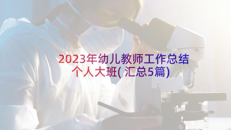 2023年幼儿教师工作总结个人大班(汇总5篇)