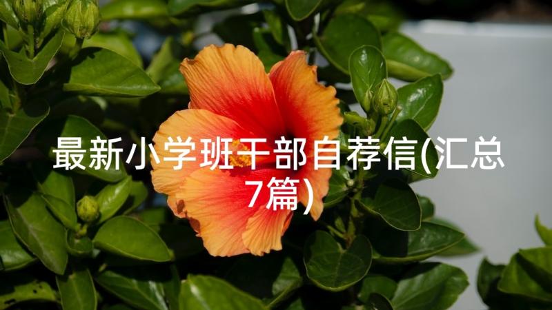 最新小学班干部自荐信(汇总7篇)