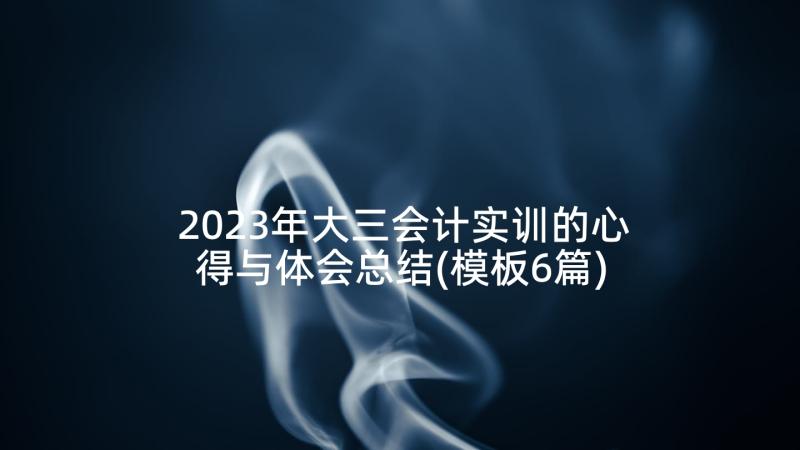 2023年大三会计实训的心得与体会总结(模板6篇)