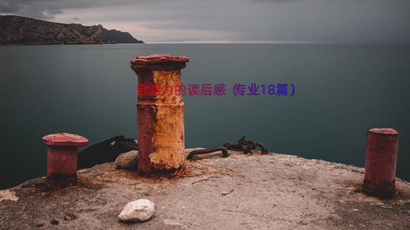 自驱力的读后感（专业18篇）