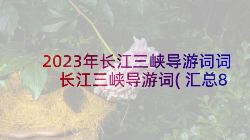 2023年长江三峡导游词词 长江三峡导游词(汇总8篇)