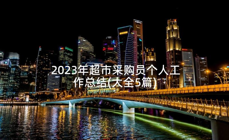 2023年超市采购员个人工作总结(大全5篇)