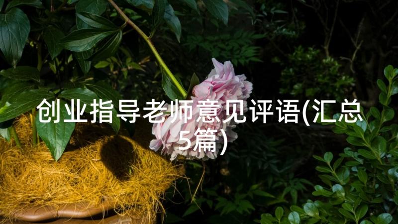 创业指导老师意见评语(汇总5篇)