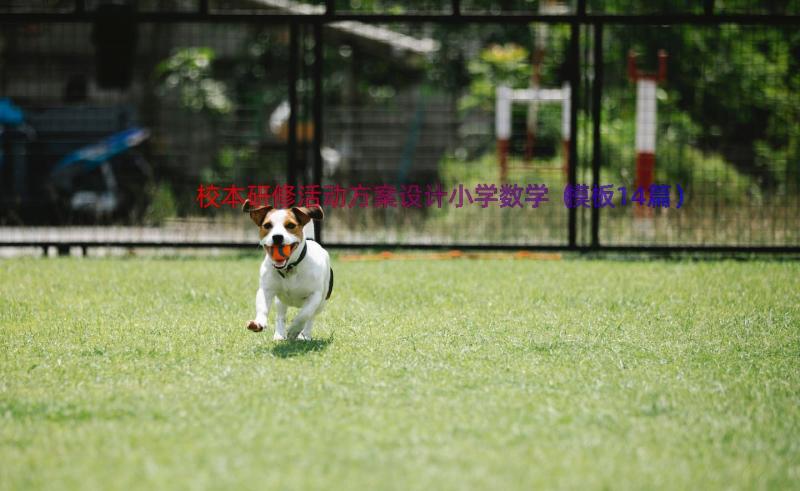 校本研修活动方案设计小学数学（模板14篇）