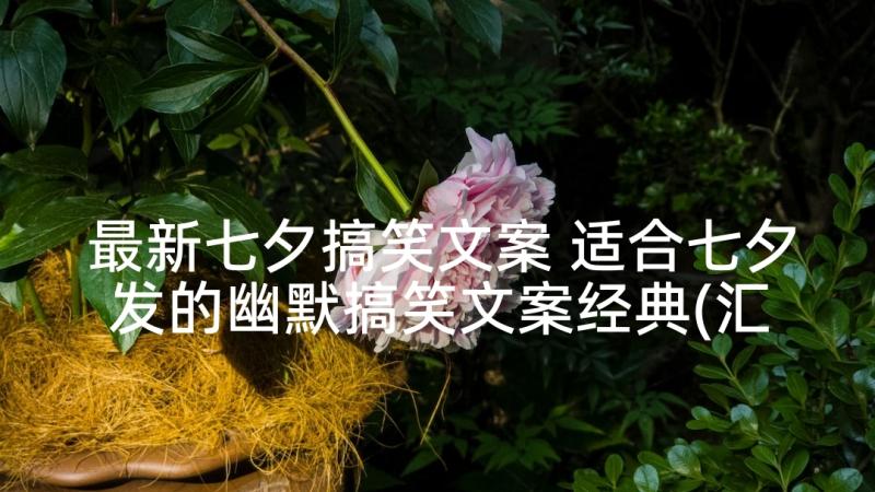 最新七夕搞笑文案 适合七夕发的幽默搞笑文案经典(汇总5篇)