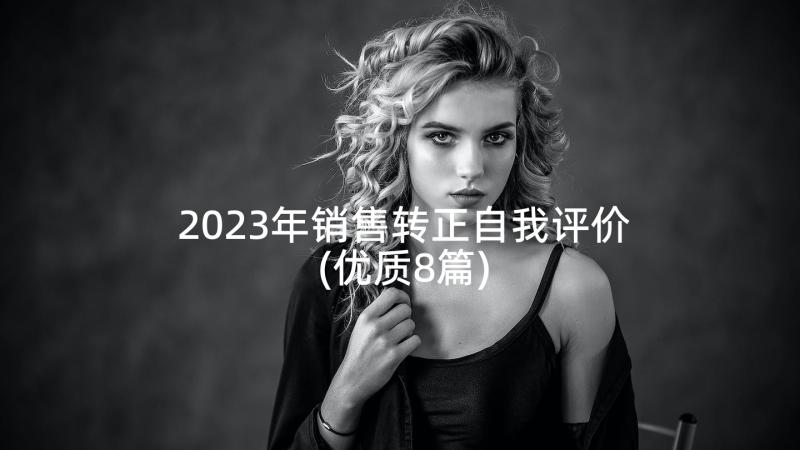 2023年销售转正自我评价(优质8篇)